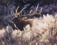 kb Brenders-Indian Summer-Bugling Elk. Brenders, 