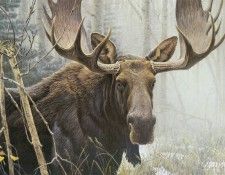 kb Bateman Bull Moose. Bateman, 