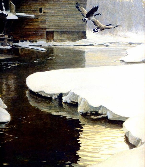 Birds 48 Mill Pond--Canadian Geese, 1997 Robert Bateman sqs. Bateman, 