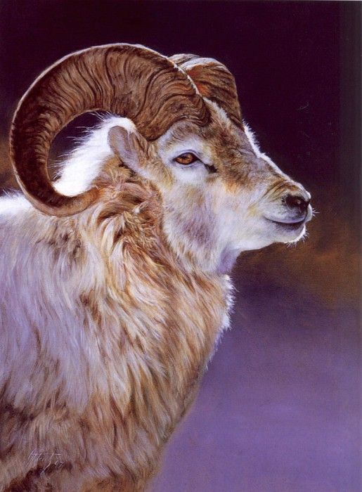 lrs Aldrich Dahl Sheep. Aldrich, 