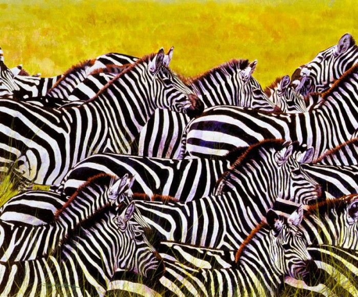 Bamrah Dharbinder S Lost In A Crowd Zebra. Bamrah, Dharbinder 