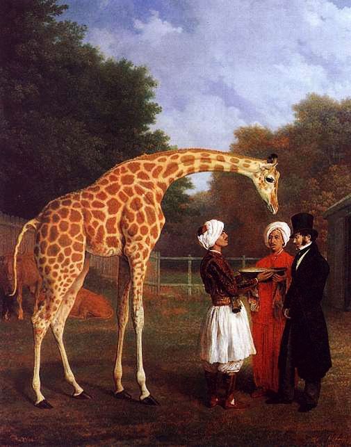Agasse Jacques Laurent The Nubian Giraffe. Agasse, -