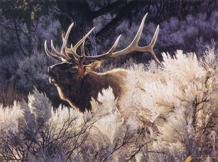 kb Brenders-Indian Summer-Bugling Elk. Brenders Karl