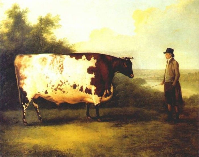 boultbee the durham ox 1802. Boultbee