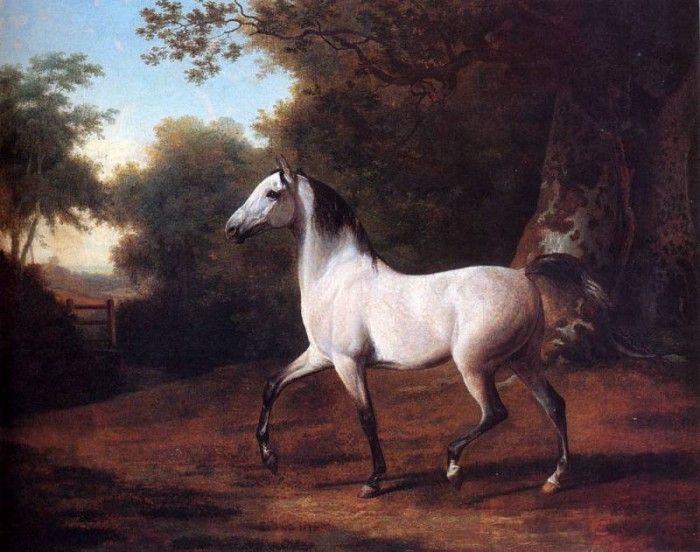 Agasse Jacques Laurent A Grey Arab Stallion In A Wooded Landscape. Agasse, -