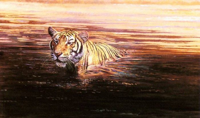 Bamrah Dharbinder S Indian Summer A Tiger. Bamrah, Dharbinder 