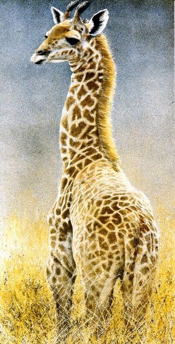 Safari 05 Giraffe Robert Bateman sqs. Bateman, 