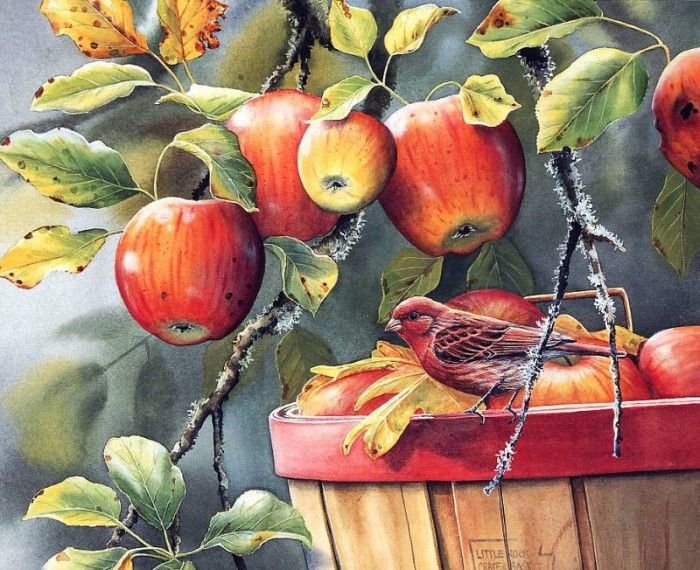 Bourdet, Susan - Fall Apple Harvest - Purple Finch (end. Bourdet, 