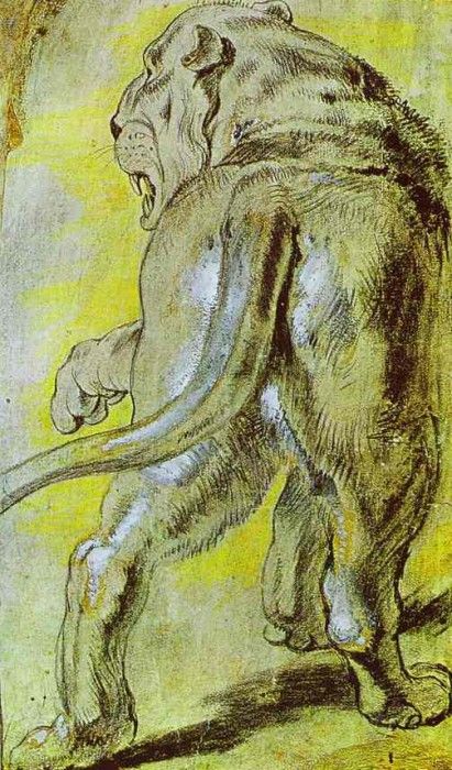 Peter Paul Rubens - Lioness. ,  