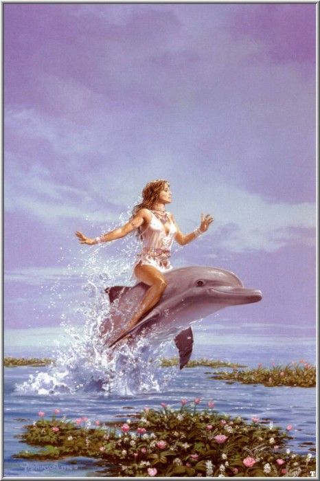dolphin dreams. , 