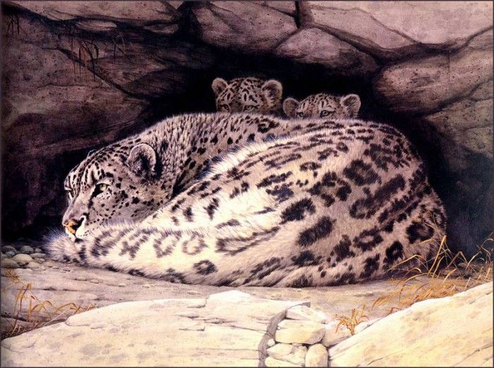 bs-na- Guy Coheleach- Snow Leopard And Cubs. Coheleach, 