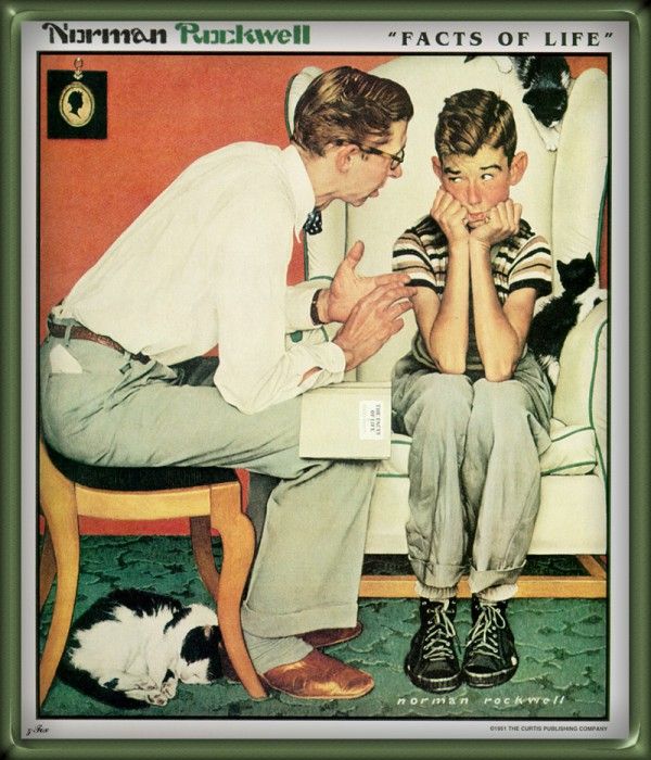 zFox Norman Rockwell Facts Of Life. , 