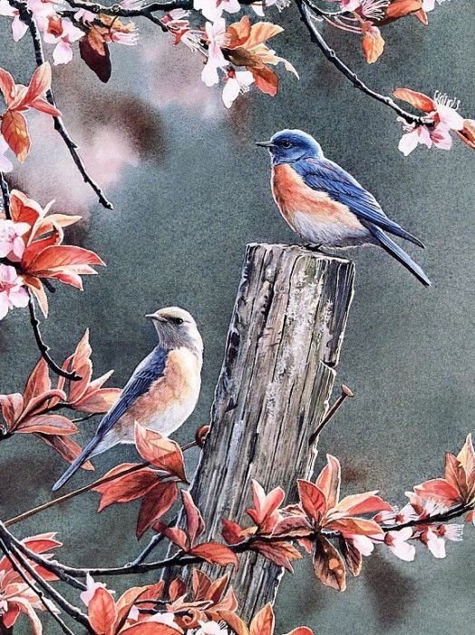 Susan Bourdet - Bluebirds in Plum Blossoms, De. Bourdet, 