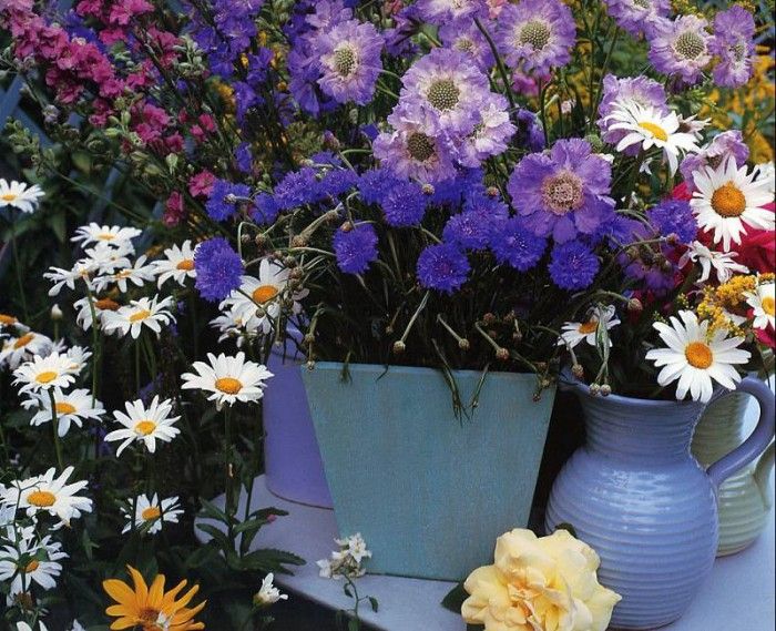 Lynne Brotchie - Summer Still Life with Cornflowers, De. Brotchie 