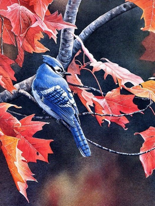 Susan Bourdet - Shades of Autumn - Bluejay, De. Bourdet, 