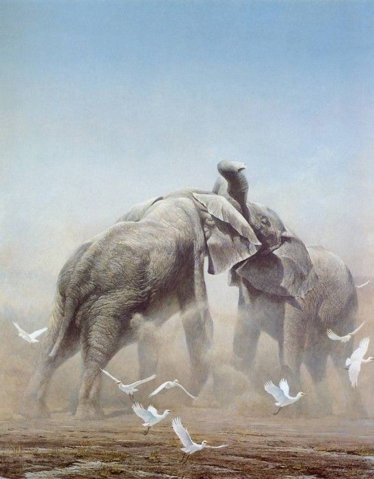 kb Bateman Sparring Elephants. Bateman, 