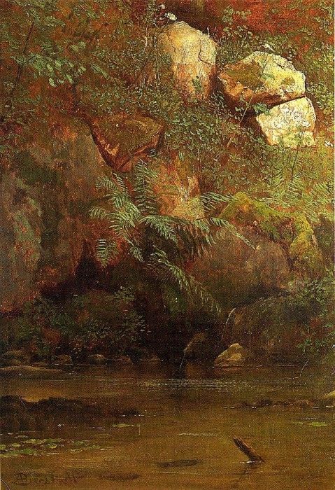 Bierstadt Albert Ferns and Rocks on an Embankment. , 