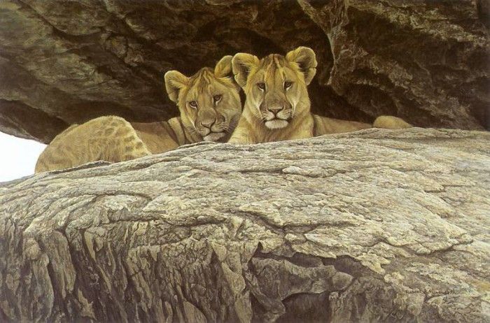 kb Bateman Lion Cubs. Bateman, 