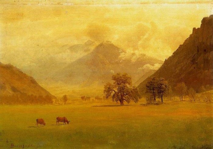 Bierstadt Albert Rhone Valley. , 