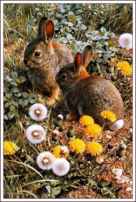 bs-na- Carl Brenders- Colorful Playground- Cottontails. Brenders, 