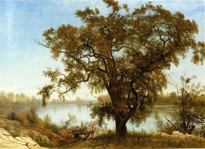 Bierstadt Albert A View from Sacramento. , 