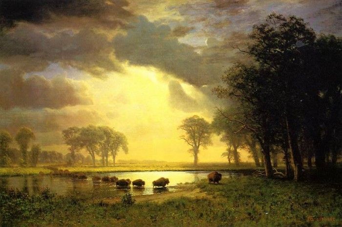 Bierstadt Albert The Buffalo Trail. , 