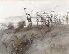 Wyeth Andrew November First. , 