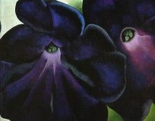 okeeffe12. OKeeeffe, ������