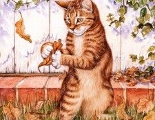 Cook Debbie   10 2000 end. ���, �����