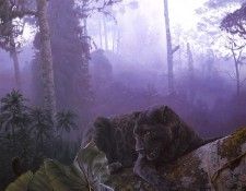 lrsSmithDaniel-AfricanEbony. ����, �������