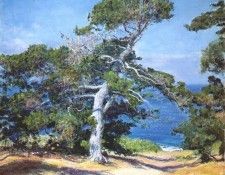rose a carmel pine c1918. , 