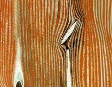 Ernst Blind swimmers (Effect of a touch) 1934 Julien Levy Co. �����, ����