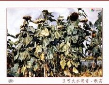 CSA aping WangKeDa 018. ��� �� Da