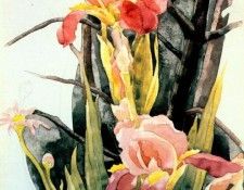 demuth flowers- irises c1925. , 