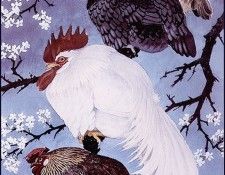 43614. Tunnicliffe, 
