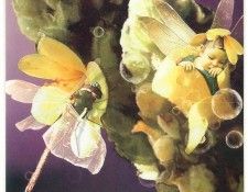 kb Cross Tom Aut Mullein Fairy. , 