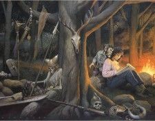 fireplacemagic io3f021. Segrelles, �������