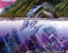 kb RLN Violet Hues of Moorea. �������, ������ ���