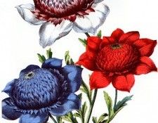Barbara Milo Ohrbach - A Token of Friendship 10, De. Ohrbach,  Milo