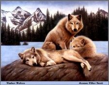 p-bwa-38. �����, ����� Filler