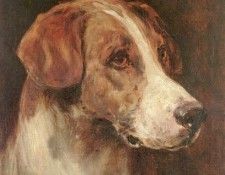 Head of a Foxhound. , 