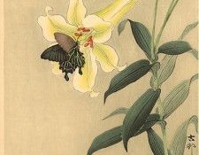 pic02212. �����