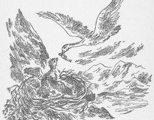 am chapter28. ��������, �����