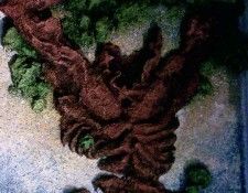 26965. �����, ����� �����