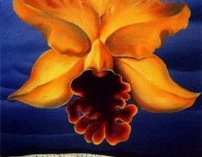 lrs Yessieva Deli Yelo Orchid& A Z Hills. Yessieva, 