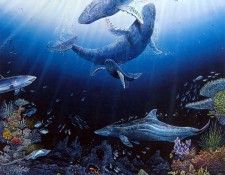 kb RLN Cradle of Life. �������, ������ ���