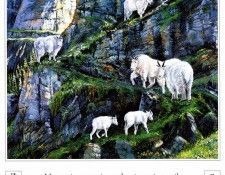 A Mountain Alphabet 0026 Z AndrewKiss sqs. �������, ������