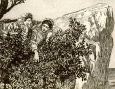 18346. �������, ����