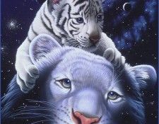 am White Tiger Magic. Schimmel, 