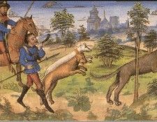 PO hidtc 43. Bluchel, ���� G